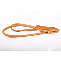 Dog show (kiállítási) felvezető bőr póráz - Arany