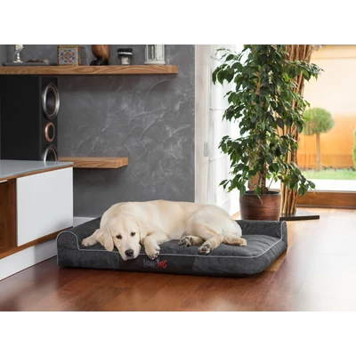 Best kutyafekhely és macskafekhely - fekete