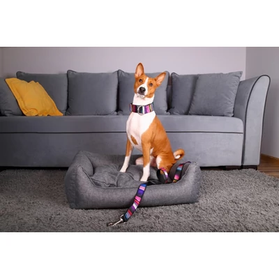 Mozaik agár nyakörv - Kék mozaik - 40mm / 30-40cm