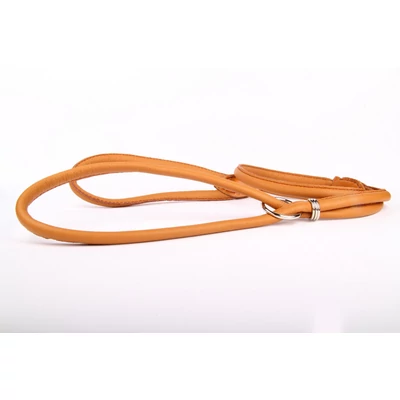 Dog show (kiállítási) felvezető bőr póráz - Arany